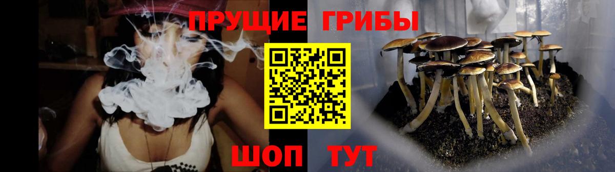 Псилоцибиновые грибы MAGIC MUSHROOMS  Вход с VPN  Химки 
